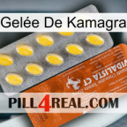 Gelée De Kamagra 42